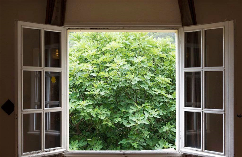 整木定制裝修完如何去除甲醛味道？(圖1)